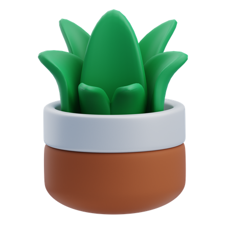 Planta de grama de mesa  3D Icon