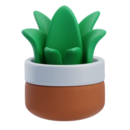 Planta de grama de mesa  3D Icon