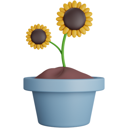 Planta de girasol  3D Icon