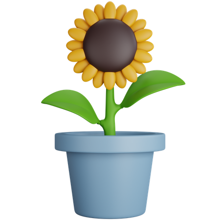 Planta de girasol  3D Icon