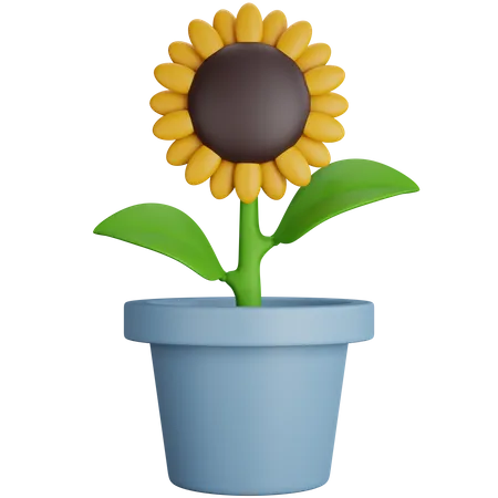 Planta de girasol  3D Icon