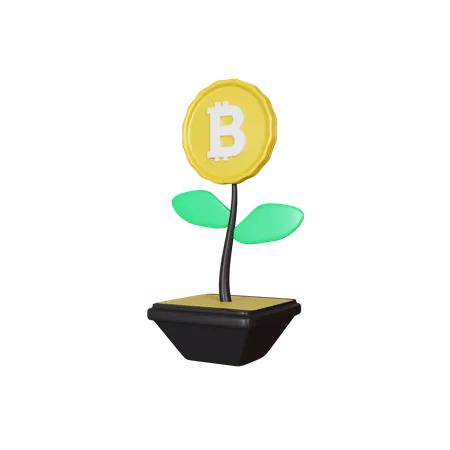 Planta de investimento bitcoin  3D Illustration