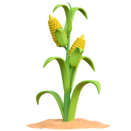 Planta de maiz  3D Icon