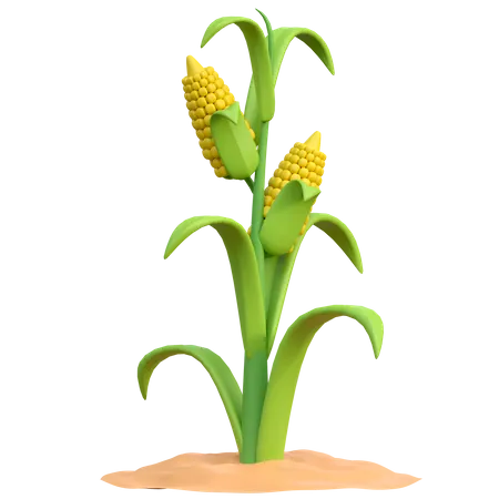 Ilustracion De Icono 3 D De Planta De Maiz 3D Icon