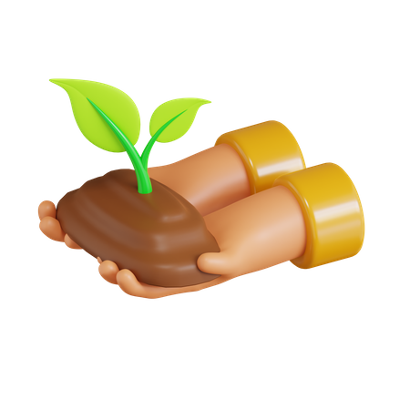 Planta de semilla  3D Icon