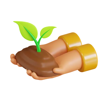 Planta de semilla  3D Icon