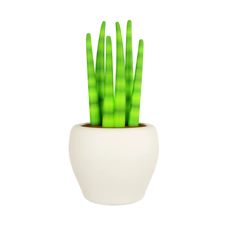 Planta de serpiente en maceta  3D Icon