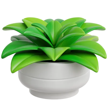 Planta de decoração  3D Icon