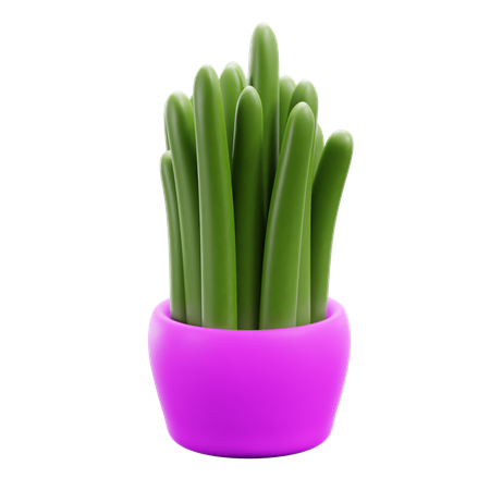 Planta decorativa  3D Icon