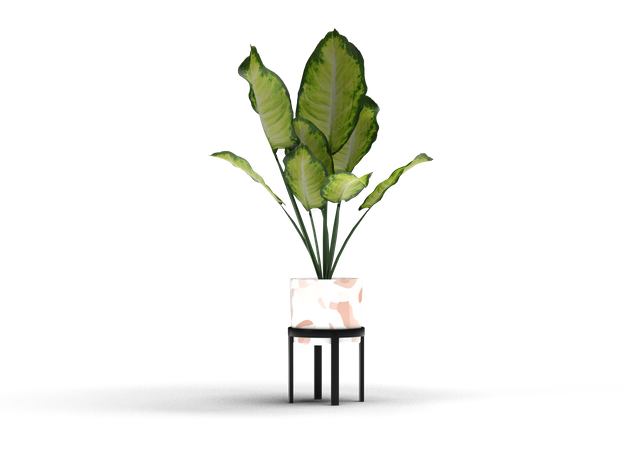 Planta decorativa  3D Illustration