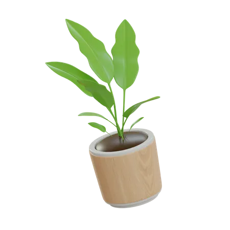 Planta decorativa  3D Icon