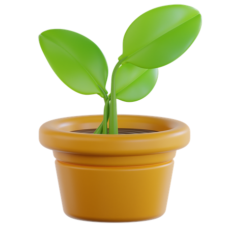 Planta ecológica  3D Icon