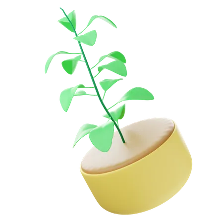 Planta ecológica  3D Icon