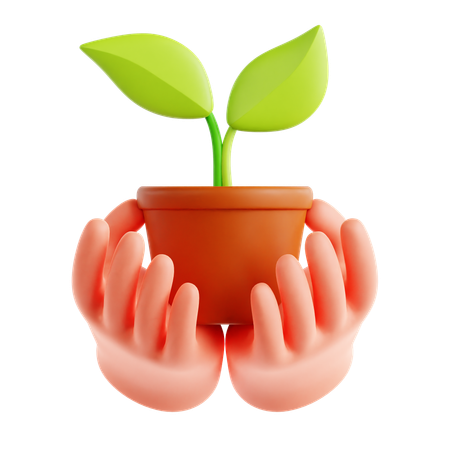 Planta ecológica a mano  3D Icon