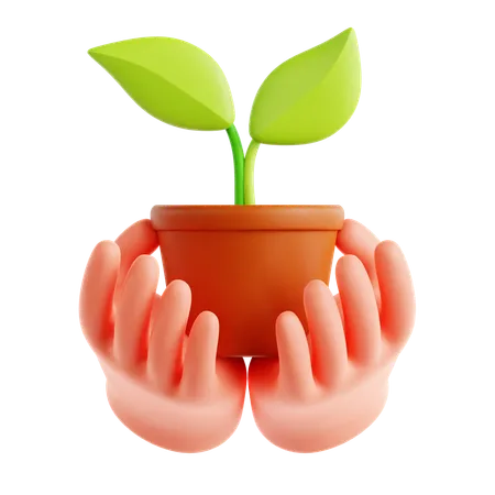 Planta ecológica a mano  3D Icon