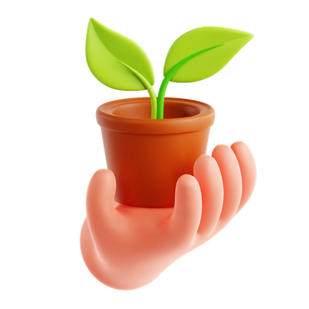 Planta ecológica a mano  3D Icon