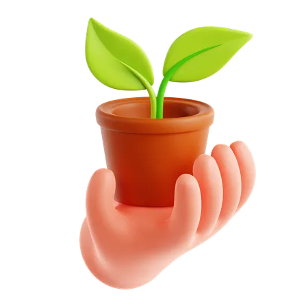 Planta ecológica a mano  3D Icon