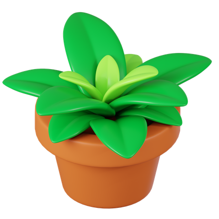 Vaso de planta  3D Icon