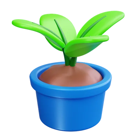 Vaso de planta  3D Icon