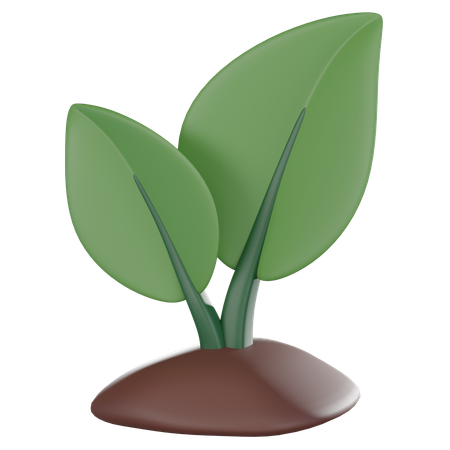 Planta en crecimiento  3D Icon