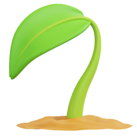 Planta en crecimiento  3D Icon