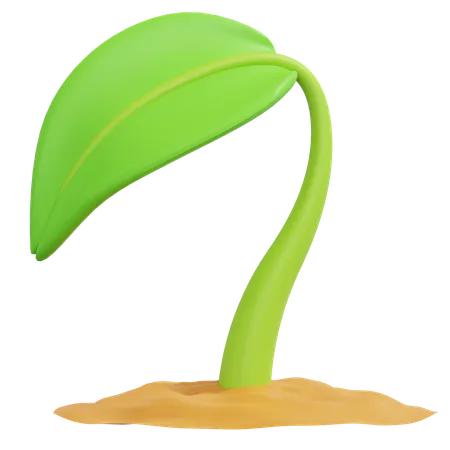 Planta en crecimiento  3D Icon