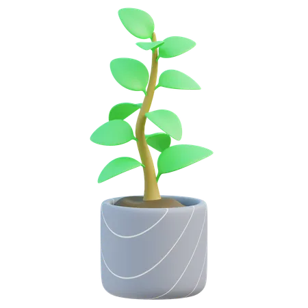 Planta en maceta  3D Icon