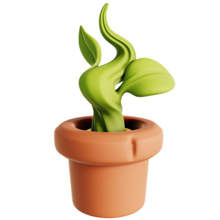 Planta en maceta  3D Icon