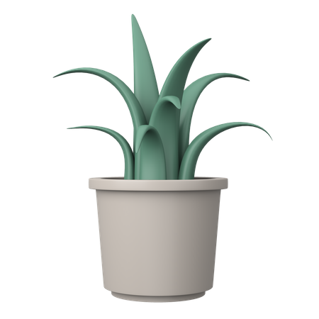 Planta en maceta  3D Illustration