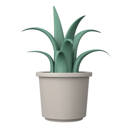 Planta en maceta  3D Illustration