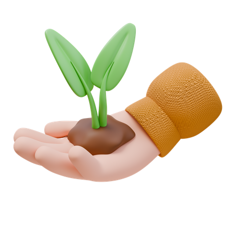 Planta en mano  3D Icon