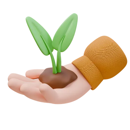 Planta en mano  3D Icon