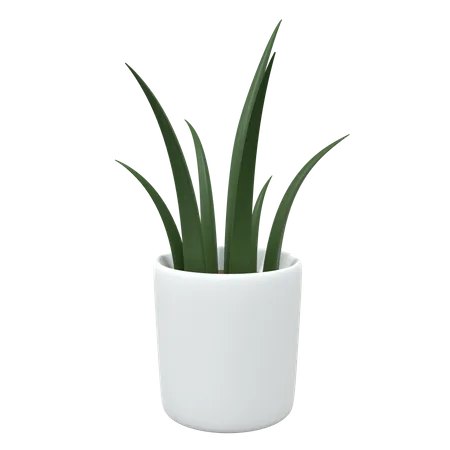 Planta de escritório  3D Icon