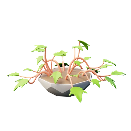 Planta de hera inglesa  3D Icon
