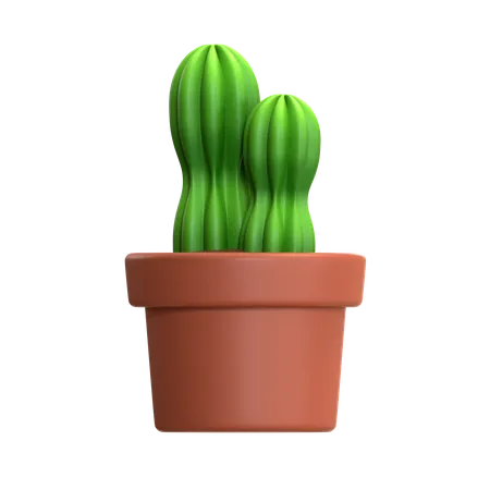 Ilustracion 3 D De Mini Cactus 3D Icon