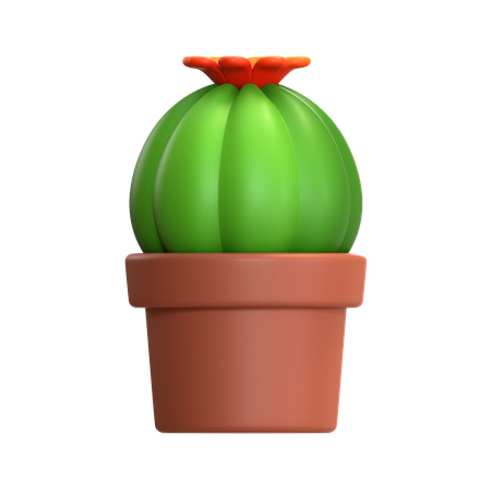 Mini cactus  3D Icon