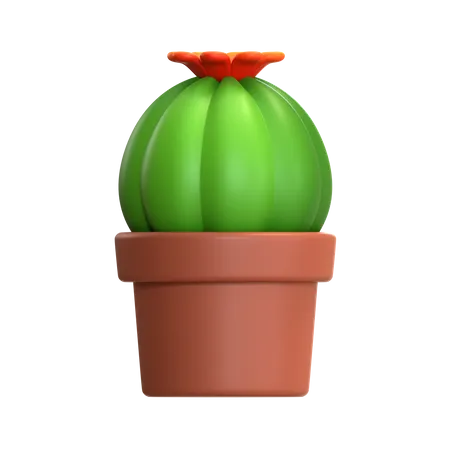 Ilustracion 3 D De Mini Cactus 3D Icon