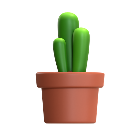 Mini cactus  3D Icon