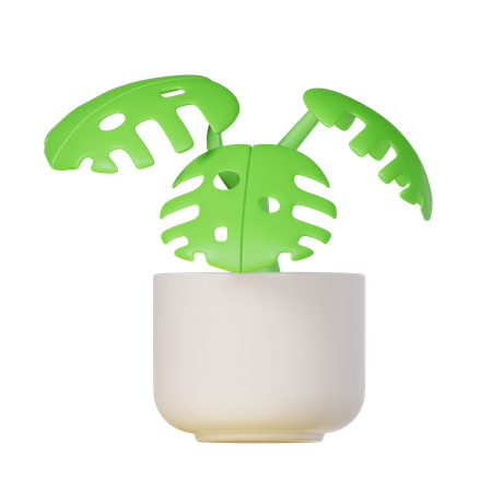 Planta monstera  3D Icon