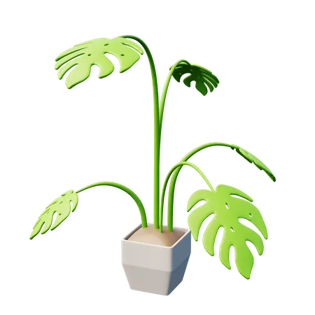 Planta monstro  3D Icon