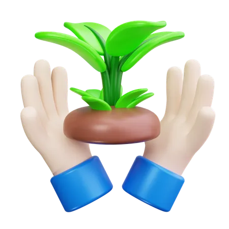 Planta na mão  3D Icon