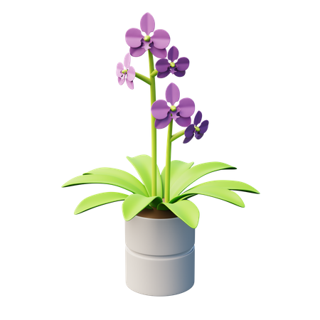 Planta de orquídea polilla  3D Icon