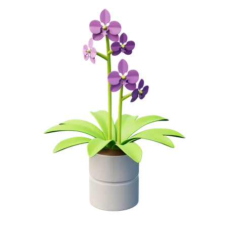 Planta de orquídea polilla  3D Icon