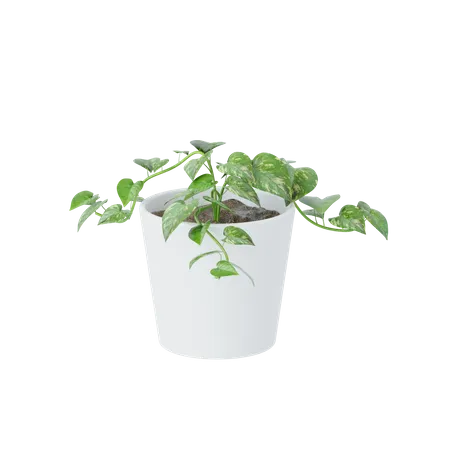 Pequeña planta  3D Icon