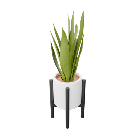 Apoyo de planta  3D Icon