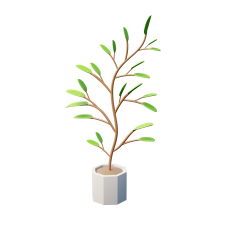 Planta de pulgadas  3D Icon