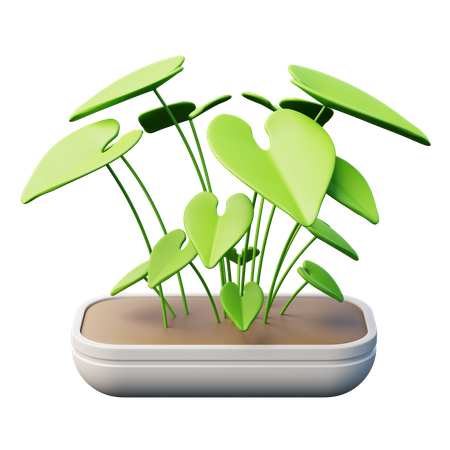 Planta de punta de flecha  3D Icon