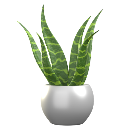 Planta serpiente  3D Icon