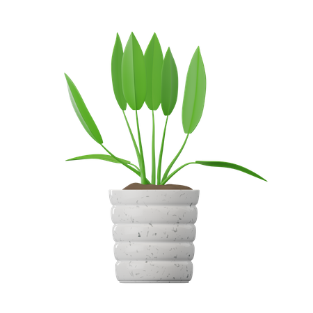 Planta spathiphyllum  3D Icon