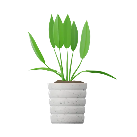 Planta spathiphyllum  3D Icon